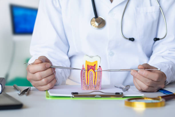 Best Cosmetic Emergency Dentistry in Delft Colony, CA